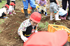 202606poteto0536_thumb.png