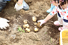 202606poteto0539_thumb.png