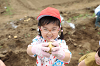 202606poteto0541_thumb.png