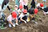 202606poteto0561_thumb.png