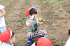 202606poteto0562_thumb.png