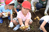 202606poteto0568_thumb.png