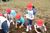 202606poteto0582_thumb.png