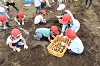 202606poteto0586_thumb.png