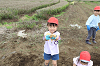 202606poteto0588_thumb.png