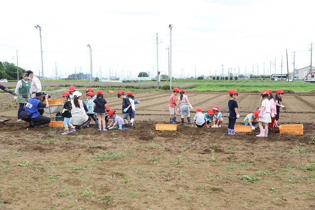 202606poteto0592.jpg