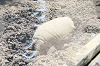 202606Ahamura0107_thumb.png