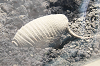 202606Ahamura0108_thumb.png