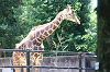 202606Ahamura0142_thumb.png
