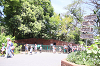 202606Ahamura0223_thumb.png