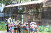202606Ahamura0262_thumb.png