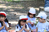 202606Ahamura0282_thumb.png