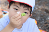202606Ahamura0354_thumb.png