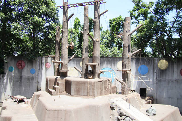 202606Ahamura0368.jpg