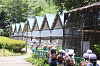 202606Ahamura0383_thumb.png