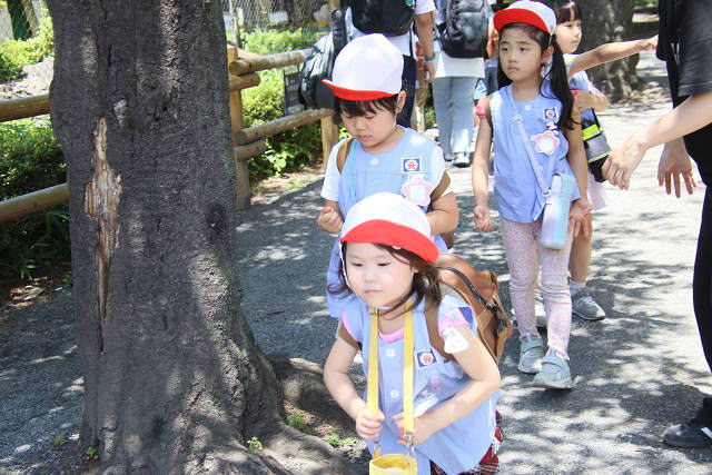 202606Ahamura0407.jpg