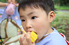 202606C3Dchikozan0308_thumb.png