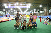 202607camp1253_thumb.png