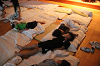 202607camp2816_thumb.png